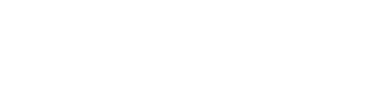 Sellout Group